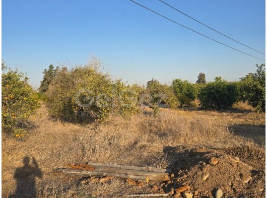 Güzelyurt erozyon bölgesindeki arazi kalitesi bahçesi