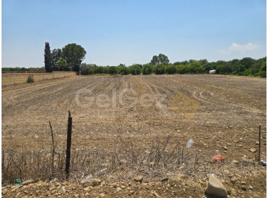 Güzelyurt Zümrütköy'de ana yol üzerinde satılık arsa