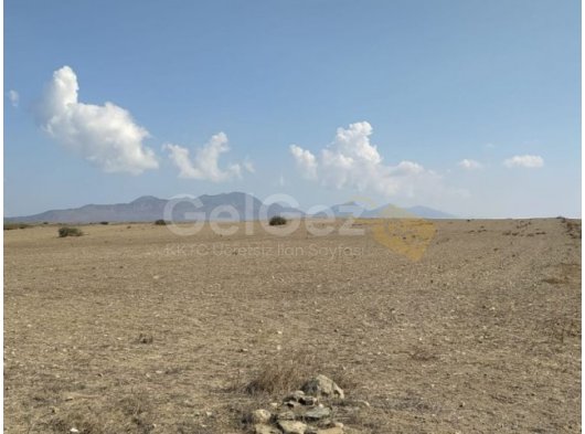 GİRNE DAĞYOLU'NDA SATILIK TARIMSAL ARAZİ