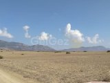 GİRNE DAĞYOLU'NDA SATILIK TARIMSAL ARAZİ