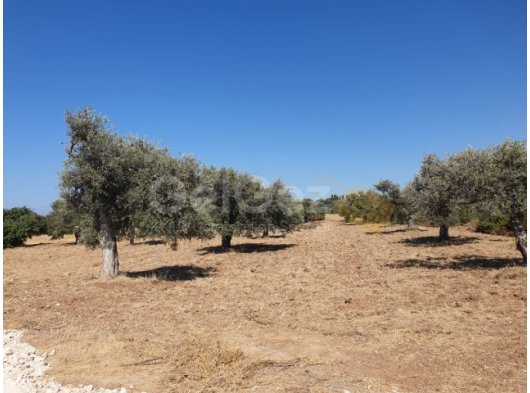 OZANKÖY'DE SATILIK ARAZİ