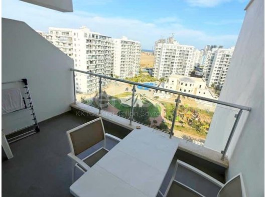 ❌caesar semi studio❌