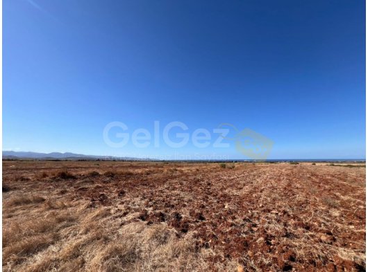 GÜZELYURT'TA SATILIK 1 DÖNÜM ARAZİ