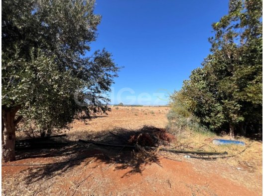 GÜZELYURT'TA SATILIK ARAZİ