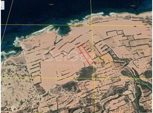 DİPKARPAZ'DA DENİZE YAKIN SATILIK ARAZİ (LEFKOŞA BOLGESİNDE EV ALINIR)