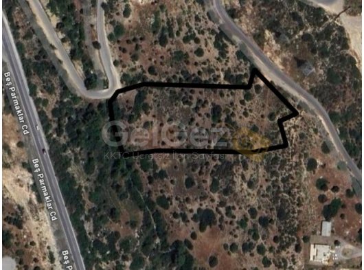 ARAPKÖY'DE SATILIK 6 DÖNÜM ARAZİ (İMAR'A KAPALIDIR)