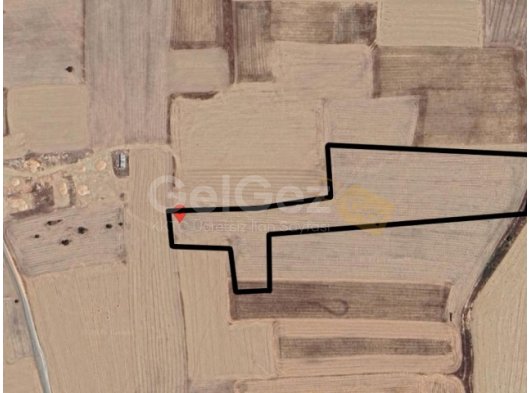 GAZİKÖY BÖLGESİNDE SATILIK TARIMSAL ARAZİ