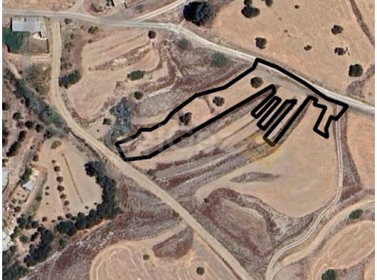 LEFKOŞA KALAVAÇ KÖYÜNDE SATILIK TÜRK MALI ARAZİ