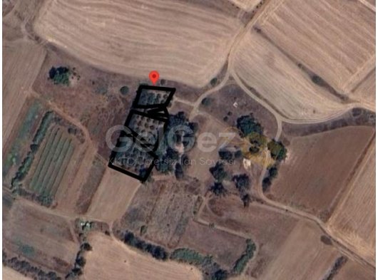 GAZİVEREN'DE SATILIK ARAZİ