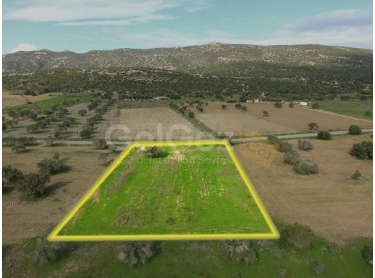 HUZURLU BİR BÖLGEDE, FASIL 96 İMAR İZİNLİ 3,519 METRE KARE ARSA