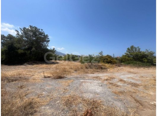 ÇATALKÖY'DE SATILIK ARSA