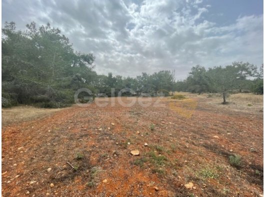 ÇAMLIBELDE TARIMA ELVERİŞLİ SATILIK TARLA