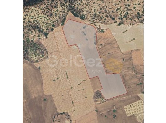 İSKELE TURNALAR KÖYÜNDE SATILIK & NİTELİKLİ TARLA / FASIL 96 / YOLU VAR / TARIMA ELVERİŞLİ/