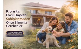 Kıbrıs’ta Evcil Hayvan Sahiplenmeden Önce Bilmeniz Gerekenler