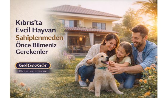 Kıbrıs’ta Evcil Hayvan Sahiplenmeden Önce Bilmeniz Gerekenler