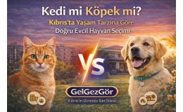 Kedi mi Köpek mi? Kıbrıs’ta Yaşam Tarzına Göre Doğru Evcil Hayvan Seçimi