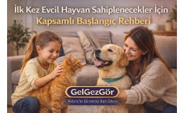  İlk Kez Evcil Hayvan Sahiplenecekler İçin Kapsamlı Başlangıç Rehberi