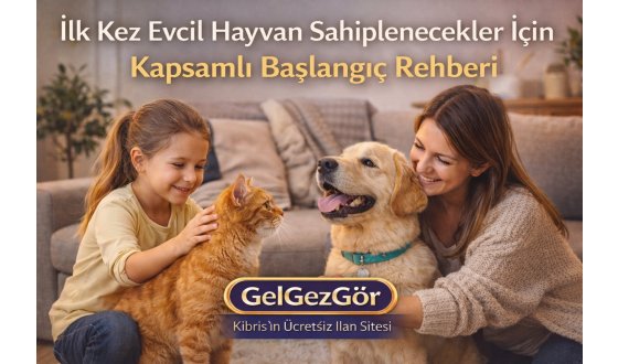 Yavru Hayvan Sahiplenirken Yapılan Yaygın Hatalar