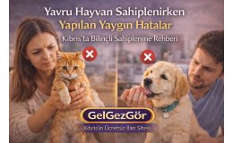 Yavru Hayvan Sahiplenirken Yapılan Yaygın Hatalar