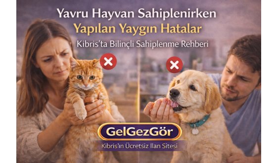 Yavru Hayvan Sahiplenirken Yapılan Yaygın Hatalar