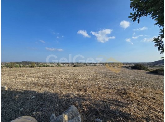 YEDİKONUK TA SATILIK 25000 M2 SATILIK ARAZI