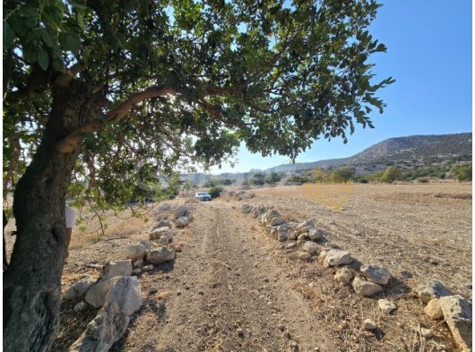 YEDİKONUK TA SAYLTILIK 2 DÖNÜM 2 EVLEK ARSA