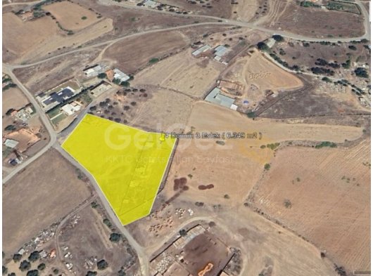 Lefke doğancıda satılık Türk Koçanlı arazi . Acil satılık