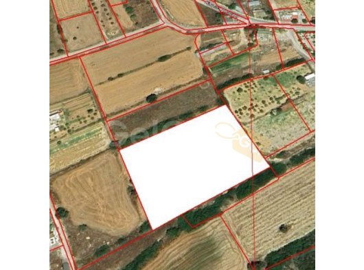 Karpaz’da köyün içine bin metre uzaklıkta dönümü 52500 sterlin satılık tarla