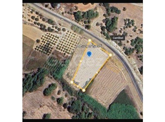 Girne çamlıbelde fırsat tarla (eş değer koçan )