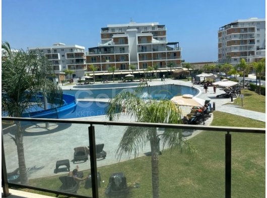 Long Beach - Elite - Stüdyo