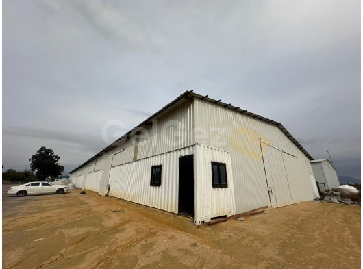 HASPOLAT İÇERİSİNDE 500 M2 DEPO ( ELEKTRİK VE SU MEVCUT DEĞİLDİR )