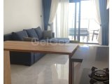 Kiralık Daire-Long Beach, İskele