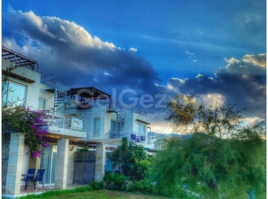 2+1 Turtle Bay Village