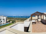 Thalassa Beach Resort, 2+1 penthouse