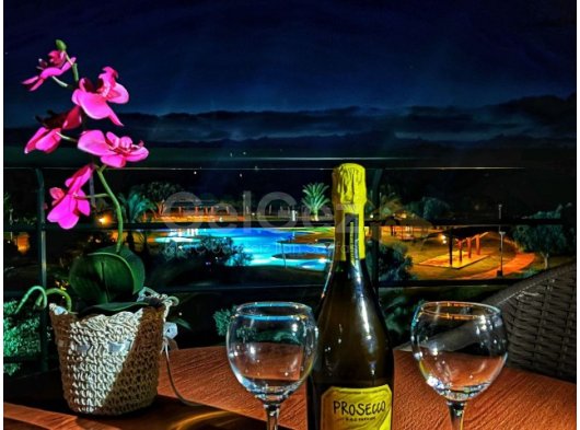 Thalassa Beach Resort'ta Denize Sıfır 0+1 Kiralık