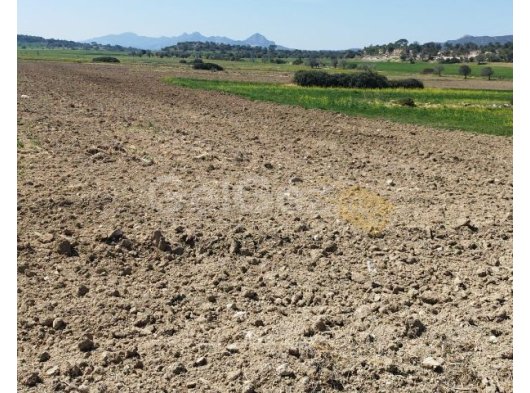 İskele büyük konut arazı
