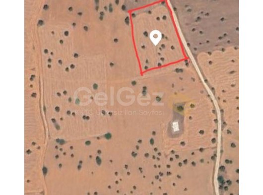 Bafra turistik bölgesi yakınlarında, Çayirova’da 2 dönüm inşaat izni ve hazır projesi olan arazi (1 dönüm = 27500 STG) toplam 5 dönüm