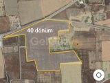 İskele bölgesi 40 dönüm satılık arazi