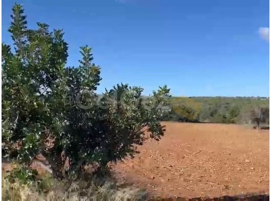 Muhteşem deniz manzaralı tarla