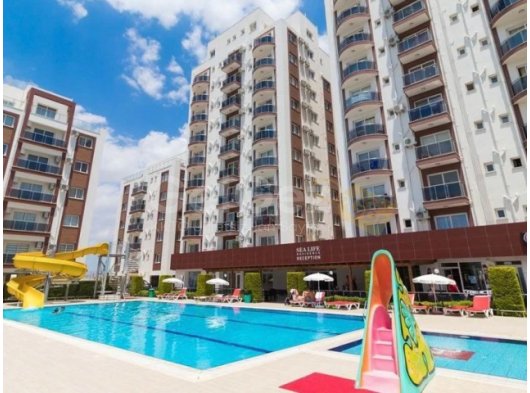 Uzun Plaj Deniz Kabukları kompleksi, STÜDYO TAM MOBİLYA