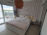 CAESAR RESORT, ALEXIUS apt. RENT 3+1 with 3 bathrooms