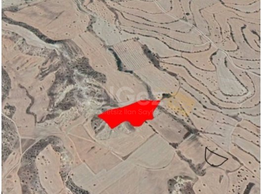 İSKELE ALTINOVA BÖLGESİNDE SATILIK 13.5 DÖNÜM ARAZİ