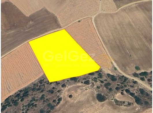 BÜYÜKKONUK BÖLGESİNDE FIRSAT TARLA