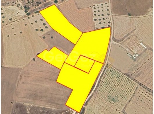 BÜYÜKKONUK BÖLGESİNDE FIRSAT 18 DÖNÜM TARLA