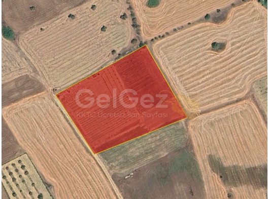 ÇAYIROVA'DA EV PROJESİ HAZIR 5 DÖNÜM FIRSAT ARAZİ