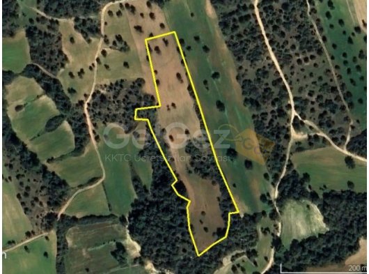 İSKELE DERİNCE BÖLGESİNDE SATILIK 11 DÖNÜM ARAZİ