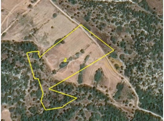 İSKELE TAŞLICA BÖLGESİNDE SATILIK 9 DÖNÜM 1 EVLEK 2220 A2