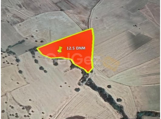 GAZİMAĞUSA YARKÖY BÖLGESİNDE SATILIK 12.5 DÖNÜM TARLA