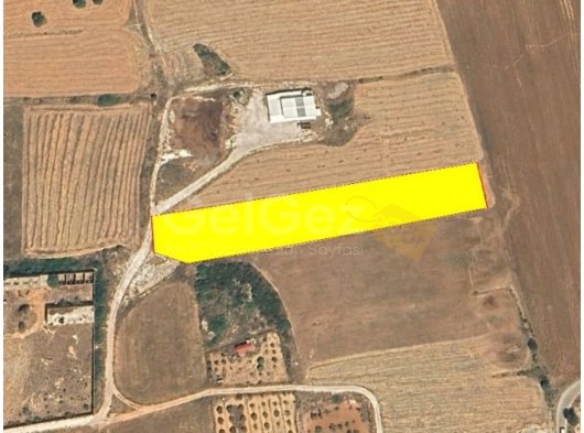 İSKELE ZİYAMET KÖYDE YATIRIMLIK TARLA