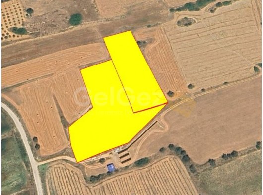 İSKELE GELİNCİK'TE DOĞAYLA İÇ İÇE YAŞAM FIRSATINI KAÇIRMAYIN